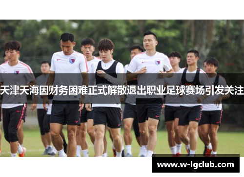 天津天海因财务困难正式解散退出职业足球赛场引发关注
